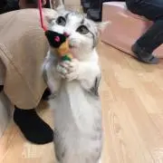 あち