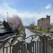 Rの画像