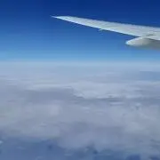 アナベル