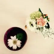 MAY TASの画像