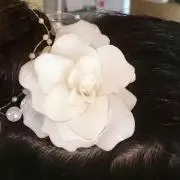 mimiy★★の画像