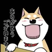 ムーコ　プロフィール必読‼️の画像
