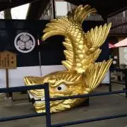 Deltaδ