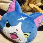 まーし