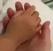 pino
