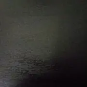 ねこ