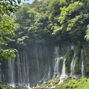 a..12.の画像