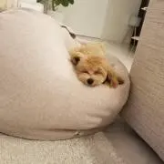ayk☺︎