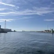 リトル・グリーン・ミナンダの画像