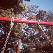 コケティの画像