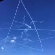 スジの画像