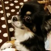 skyの画像