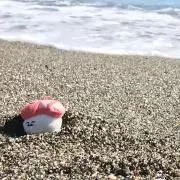 おひゅひの画像