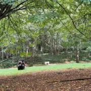 紫✩*¨の画像