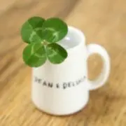 t(*^-^*)tの画像