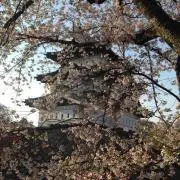 なな