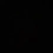 【100%正規品】　⚫️の画像