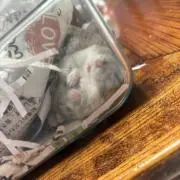 ぴーんく