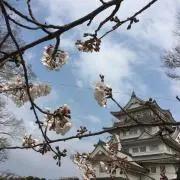 yuuuuの画像