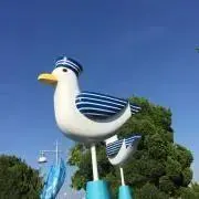 がじゅまる☆の画像
