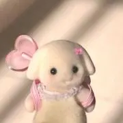 ぴぃの画像