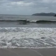 波乗りオヤジ