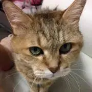 さぁの画像
