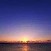 Yamanaka-sanの画像