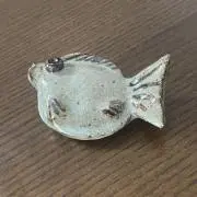 ひらめの画像