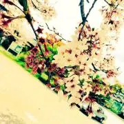 せーいち
