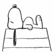 ひかりの画像