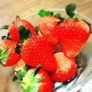 とらとらの画像
