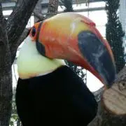 YOSUの画像