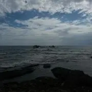 おかかおにぎりの画像