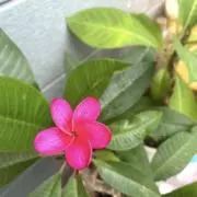 必ずプロフィールをお読みくださいの画像