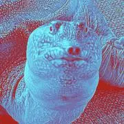 もぢぢの画像