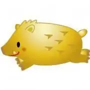 早い者勝ち❗