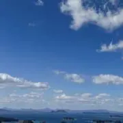 スポンジの画像