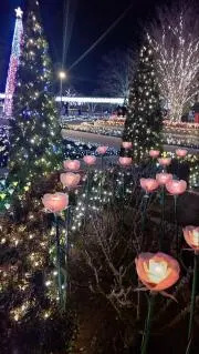 ERIの画像