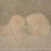 ouの画像