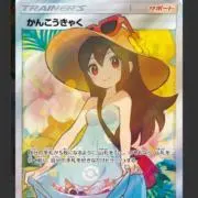 かんこうきゃくの画像