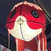 toitoitoi