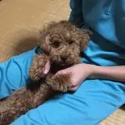 BIGママの画像