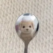 ri_の画像