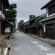 どんちゃんの画像
