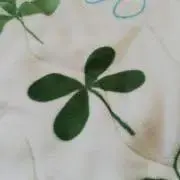 さっちゃん