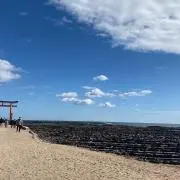 みー☆