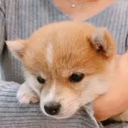 yasu☆122