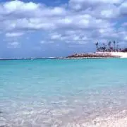 ペンネの画像