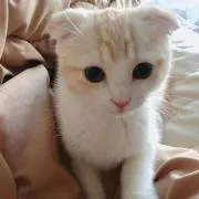 うすしお※プロフの画像